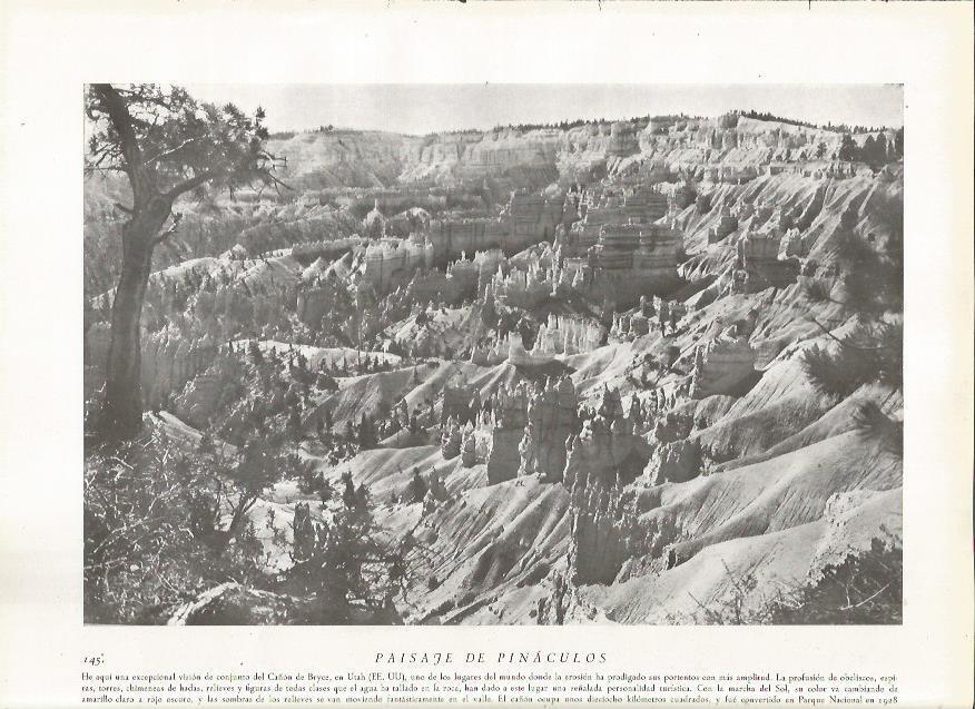 LAMINA 22798: Cañon de Bryce, Estados Unidos