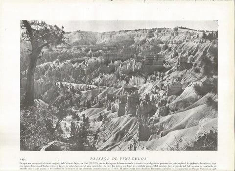 LAMINA 22798: Cañon de Bryce, Estados Unidos
