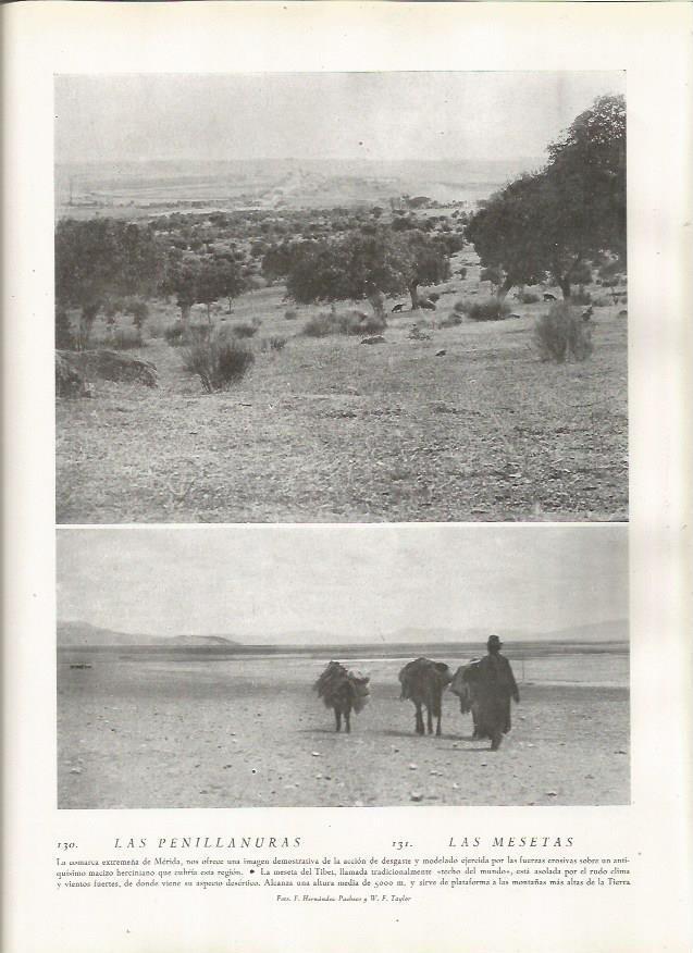 LAMINA 22792: Llanura en Merida y meseta del Tibet