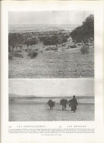 LAMINA 22792: Llanura en Merida y meseta del Tibet