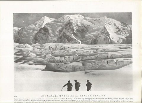 LAMINA 22785: Macizo de Bernina en los Alpes