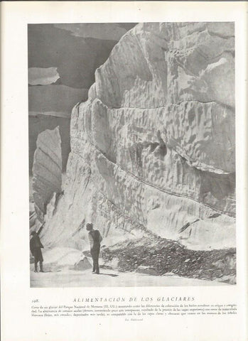 LAMINA 22784: Glaciar del Parque Nacional de Montana