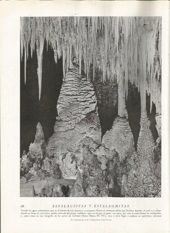 LAMINA 22769: Cuevas de Carlsbad, Estados Unidos