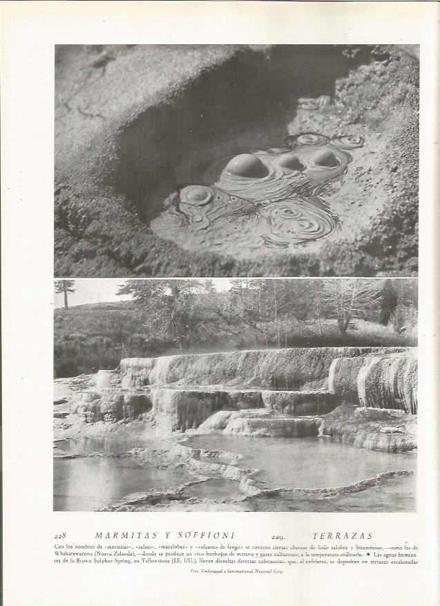 LAMINA 22824: Marmitas de Whakarewarewa, Nueva Zelanda