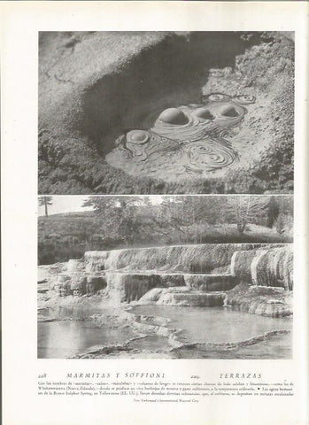 LAMINA 22824: Marmitas de Whakarewarewa, Nueva Zelanda