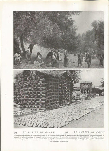 LAMINA 22882: Aceite de oliva y de coco