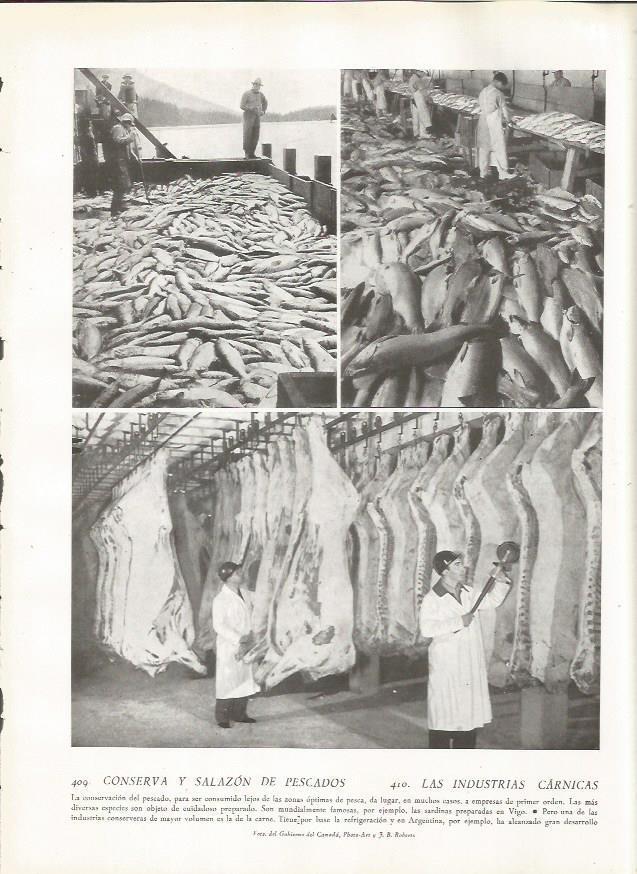 LAMINA 22878: Salazon de pescado en Vigo 