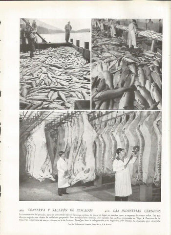 LAMINA 22878: Salazon de pescado en Vigo 