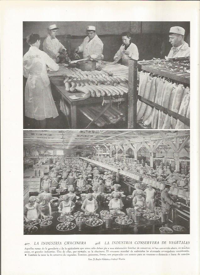 LAMINA 22877: Industria chacinera y conservera