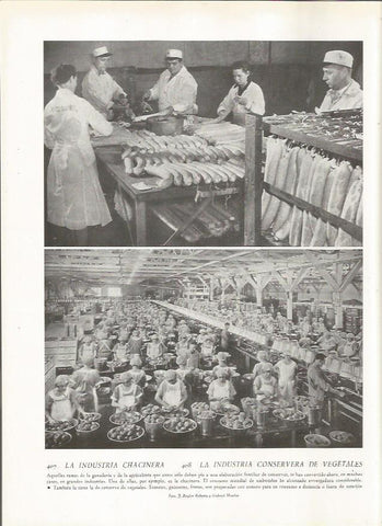 LAMINA 22877: Industria chacinera y conservera
