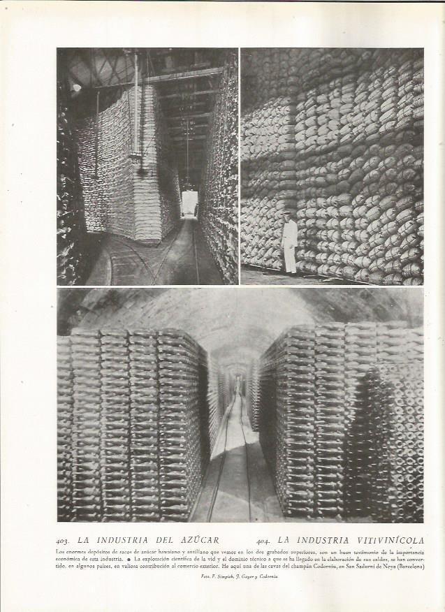 LAMINA 22876: Cava Codorniu en Sant Sadurni d'Anoia, Barcelona