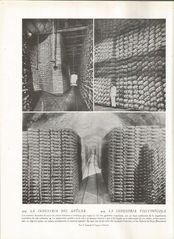 LAMINA 22876: Cava Codorniu en Sant Sadurni d'Anoia, Barcelona