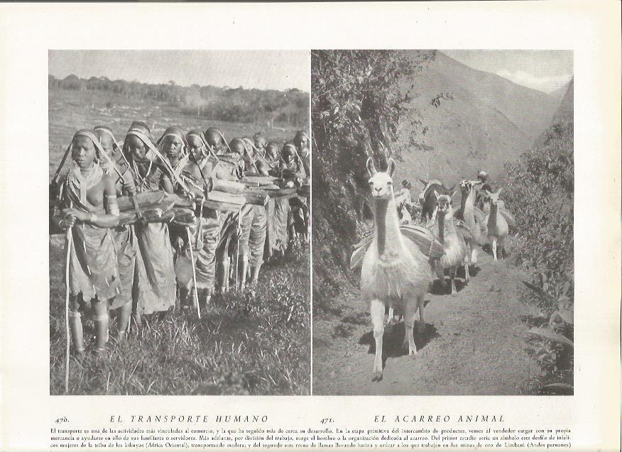 LAMINA 22897: Tribu Kikuyo de Africa y llamas en los Andes de Peru