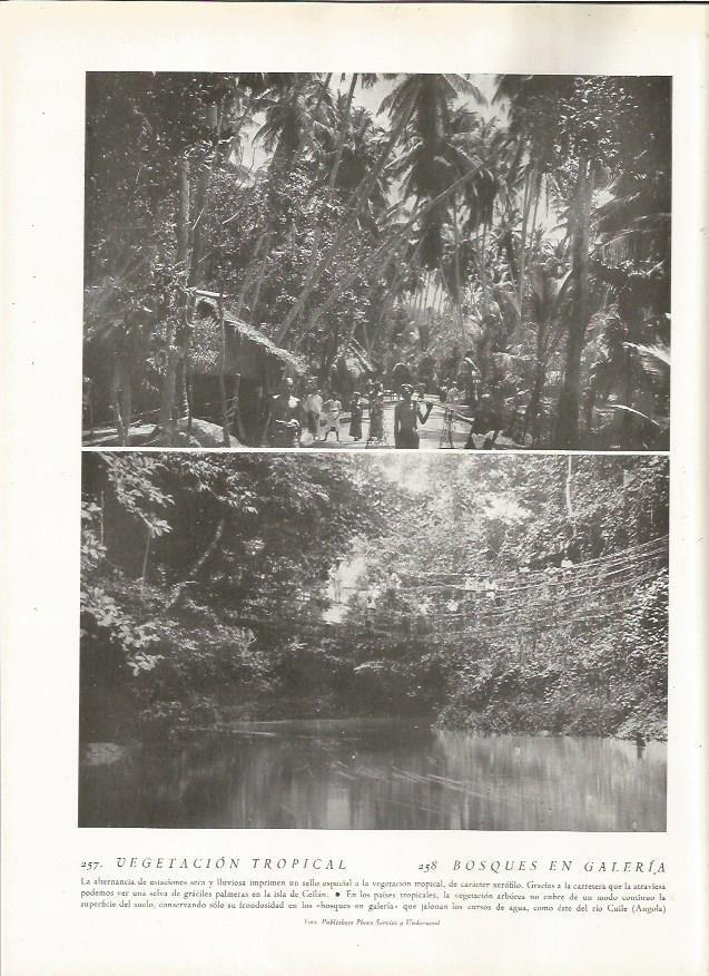 LAMINA 22833: Isla de Sri Lanka y rio Cuile en Angola