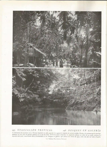 LAMINA 22833: Isla de Sri Lanka y rio Cuile en Angola