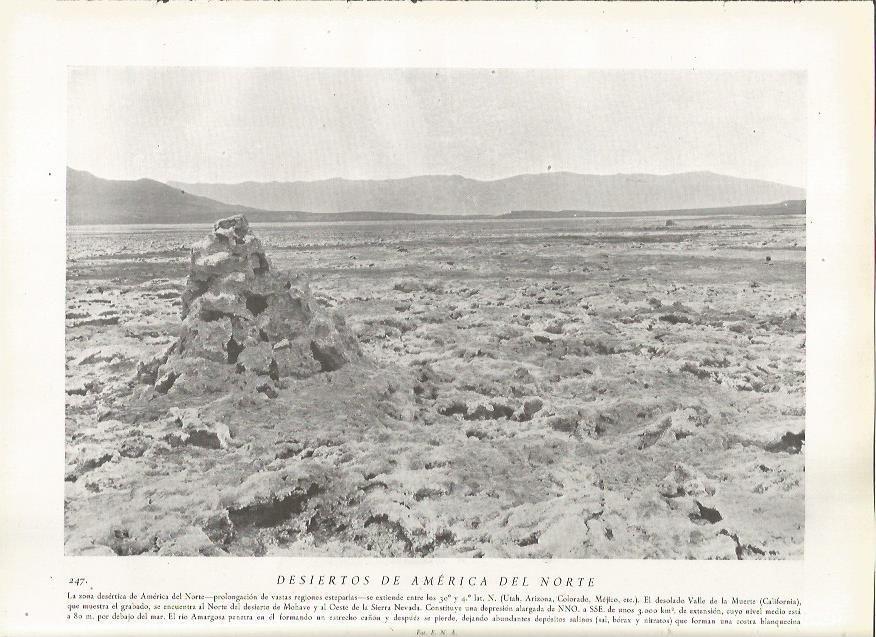 LAMINA 22830: Desiertos de America del Norte
