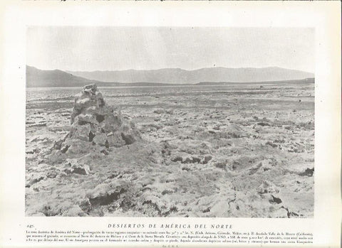 LAMINA 22830: Desiertos de America del Norte