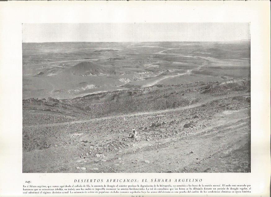 LAMINA 22829: El Sahara argelino