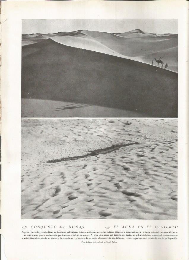 LAMINA 22827: Dunas del Sahara 