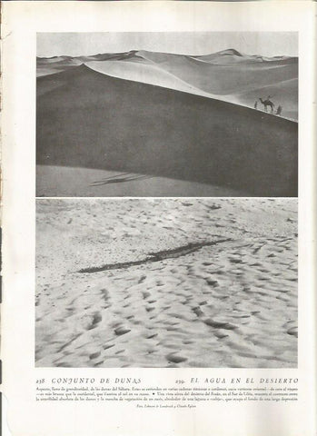 LAMINA 22827: Dunas del Sahara 