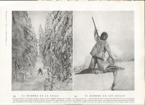 LAMINA 22844: Esquimal y esquiador en Finlandia