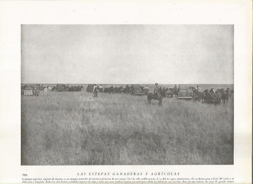 LAMINA 22845: Vaqueros en la pampa de Argentina