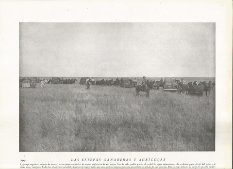 LAMINA 22845: Vaqueros en la pampa de Argentina