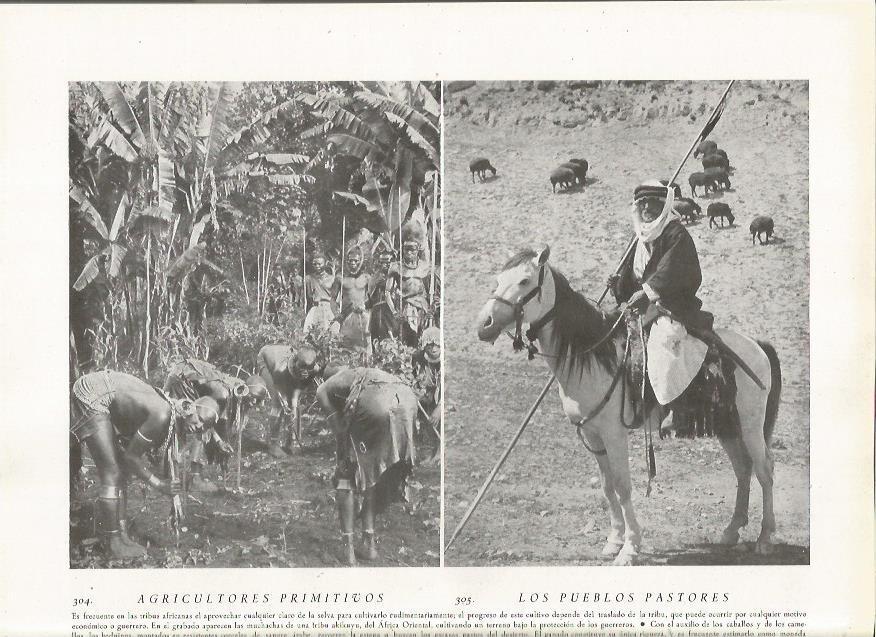 LAMINA 22847: Tribu Akikuyu y Beduino