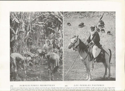 LAMINA 22847: Tribu Akikuyu y Beduino