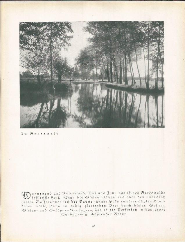 LAMINA 22650: Vista de Spreewald, Alemania