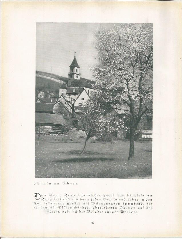 LAMINA 22647: Pueblo cerca del Rin, Alemania