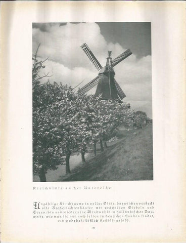 LAMINA 22645: Molino en Alemania