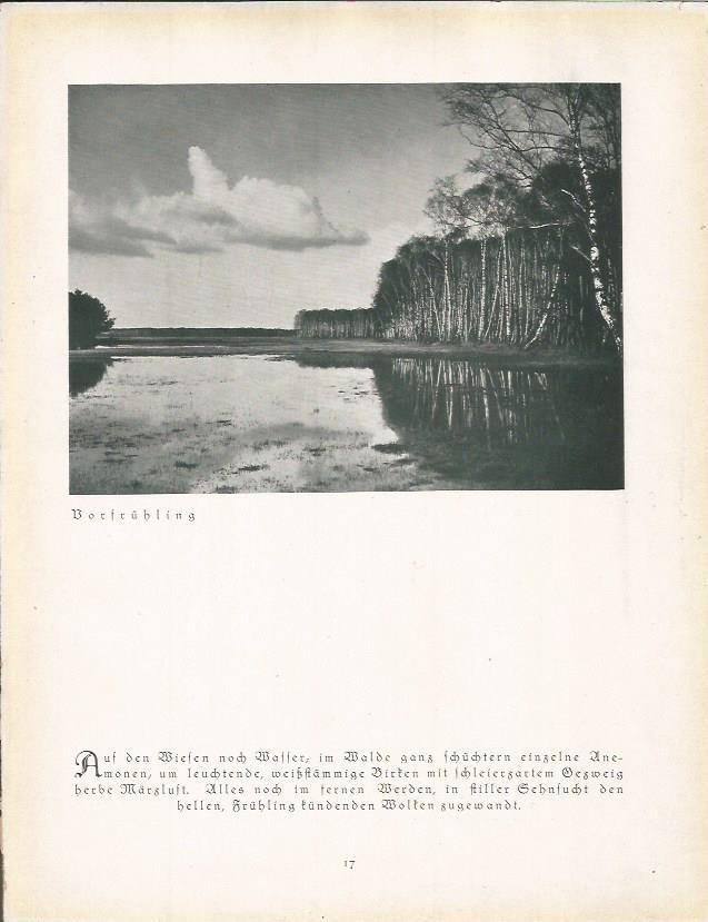 LAMINA 22643: Borfruhling, Alemania