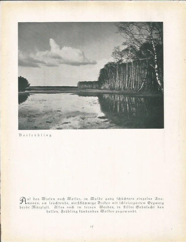 LAMINA 22643: Borfruhling, Alemania