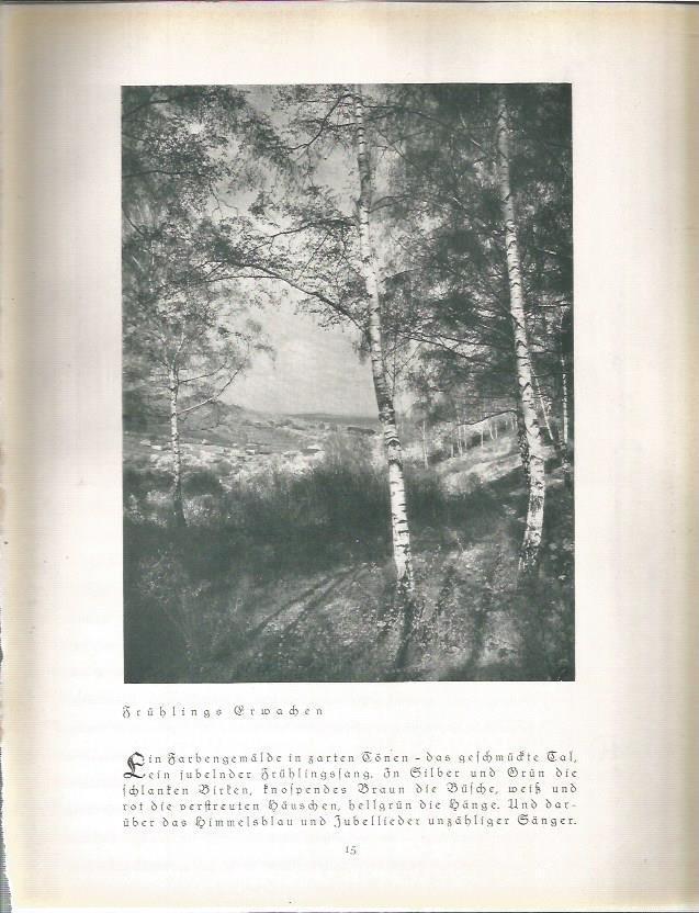 LAMINA 22642: Fruhlingserwachen, Alemania