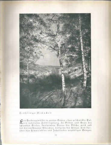 LAMINA 22642: Fruhlingserwachen, Alemania