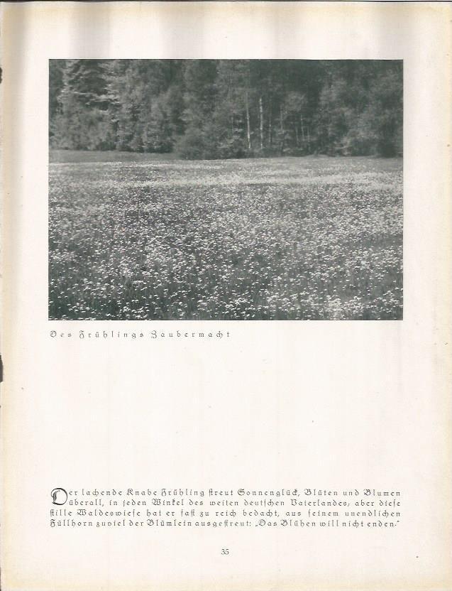 LAMINA 22652: Campos de flores en Alemania