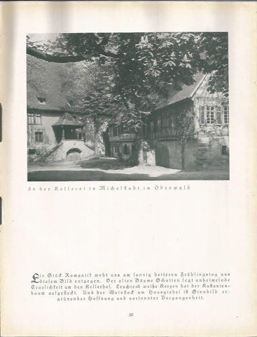 LAMINA 22654: Casas en Odenwald, Alemania