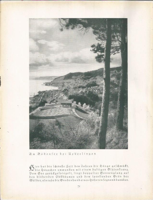 LAMINA 22670: Vista de Bodensee, Alemania