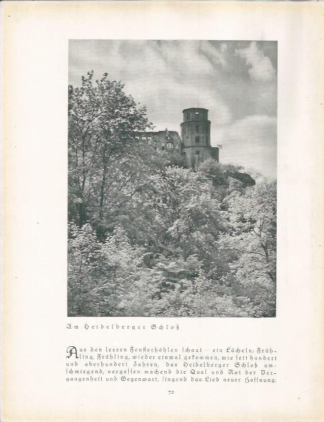LAMINA 22669: Castillo de Heildelberger, Alemania