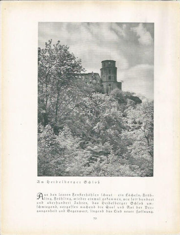LAMINA 22669: Castillo de Heildelberger, Alemania