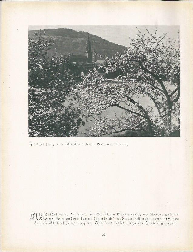 LAMINA 22668: Iglesia en Heidelberg, Alemania