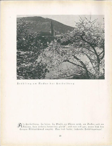 LAMINA 22668: Iglesia en Heidelberg, Alemania