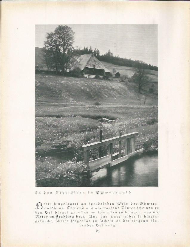 LAMINA 22667: Casa en Echwartzwald, Alemania
