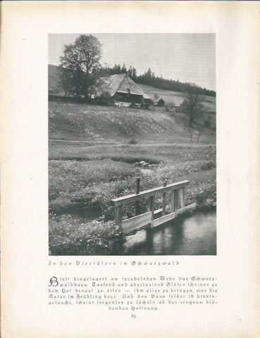 LAMINA 22667: Casa en Echwartzwald, Alemania