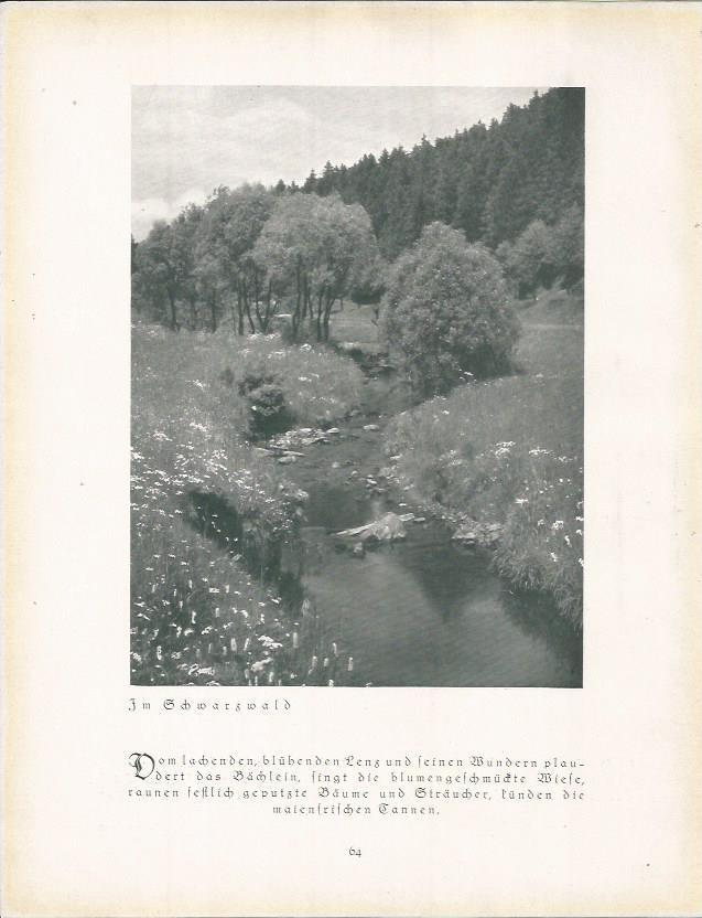 LAMINA 22666: Echwartzwald. Alemania