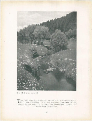 LAMINA 22666: Echwartzwald. Alemania