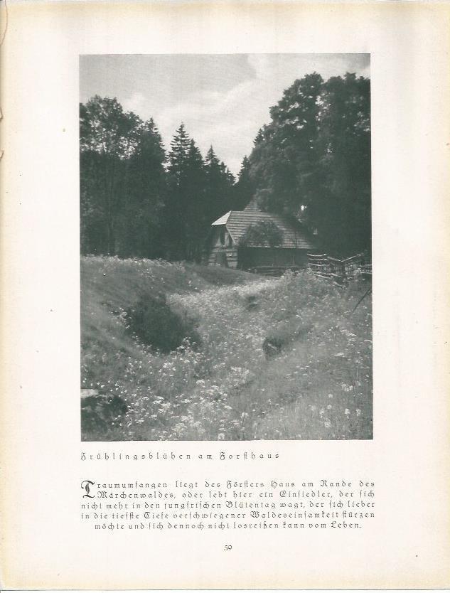 LAMINA 22664: Casa en el campo de Alemania