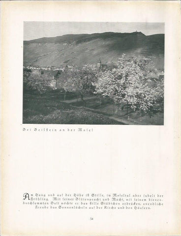 LAMINA 22661: Beilftein, Alemania