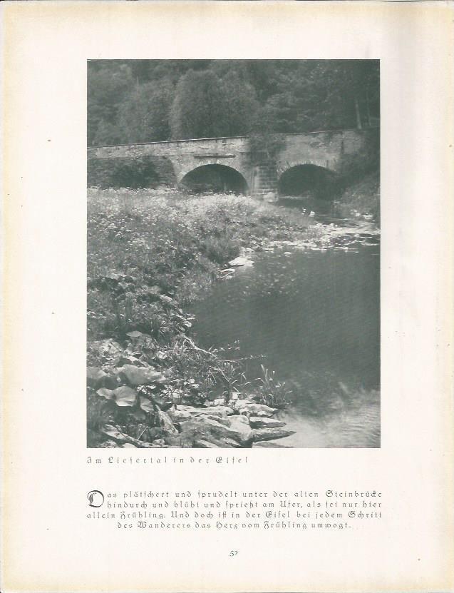 LAMINA 22660: Puente sobre el Gifel, Alemania